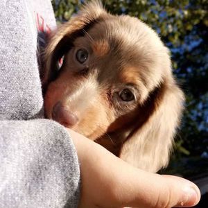 Meet your Posher, Kaigan